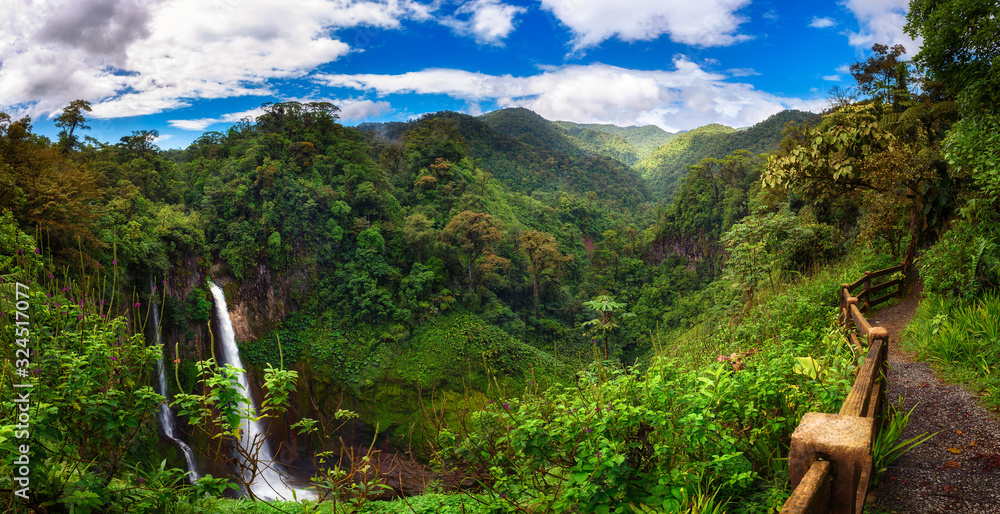 Rainforest Research