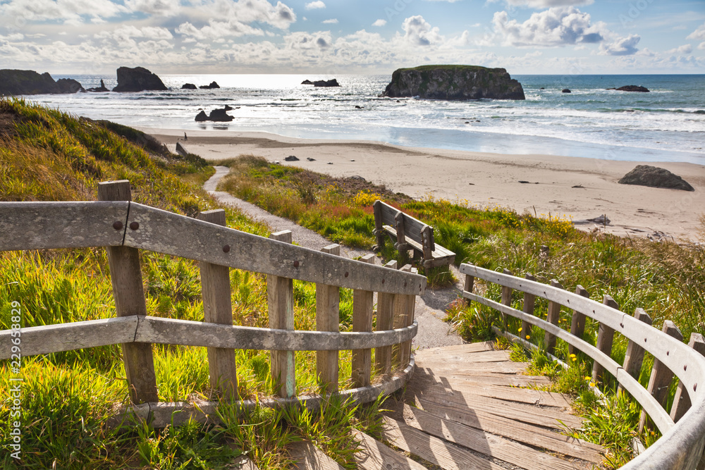 Coastal Ecosystem